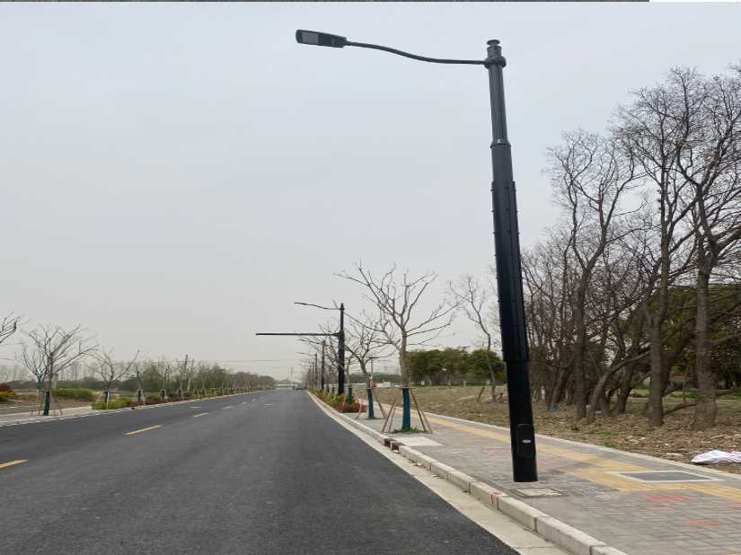 嘉鱼县上海综合杆 太阳能路灯工程